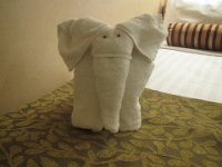 BedAnimal