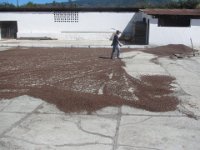 DryingFloor