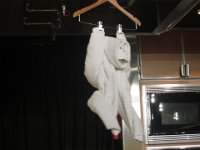 TowelFolding